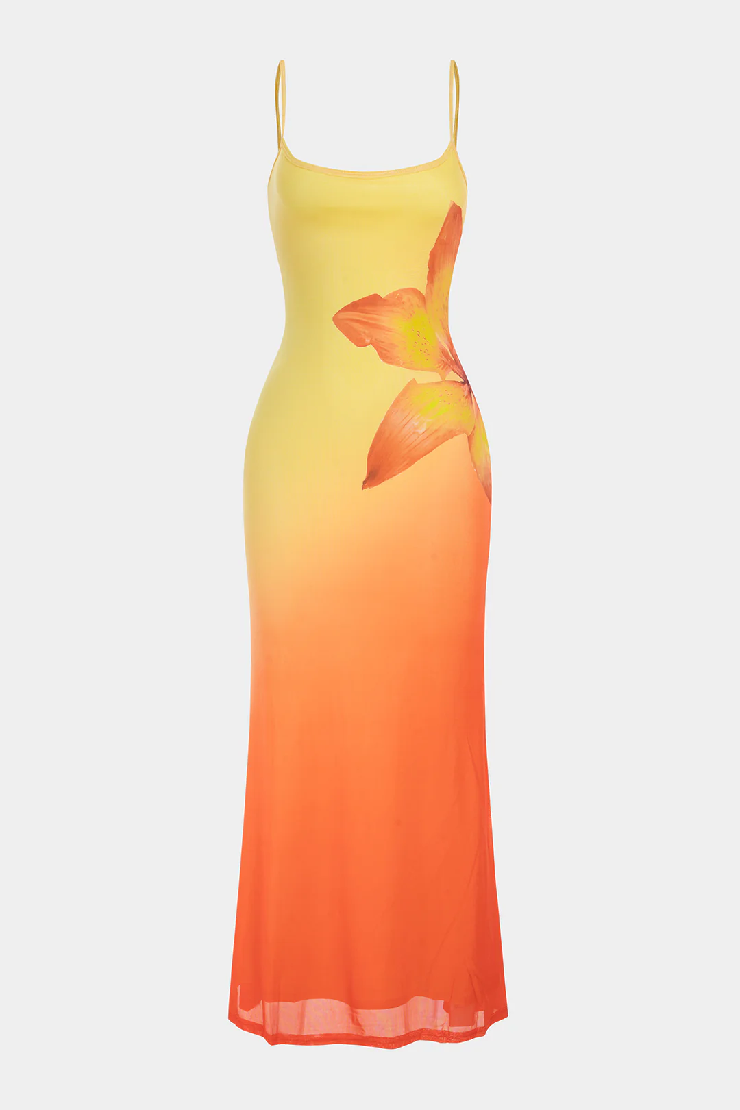 Ombre Floral Print Sleeveless Maxi Dress