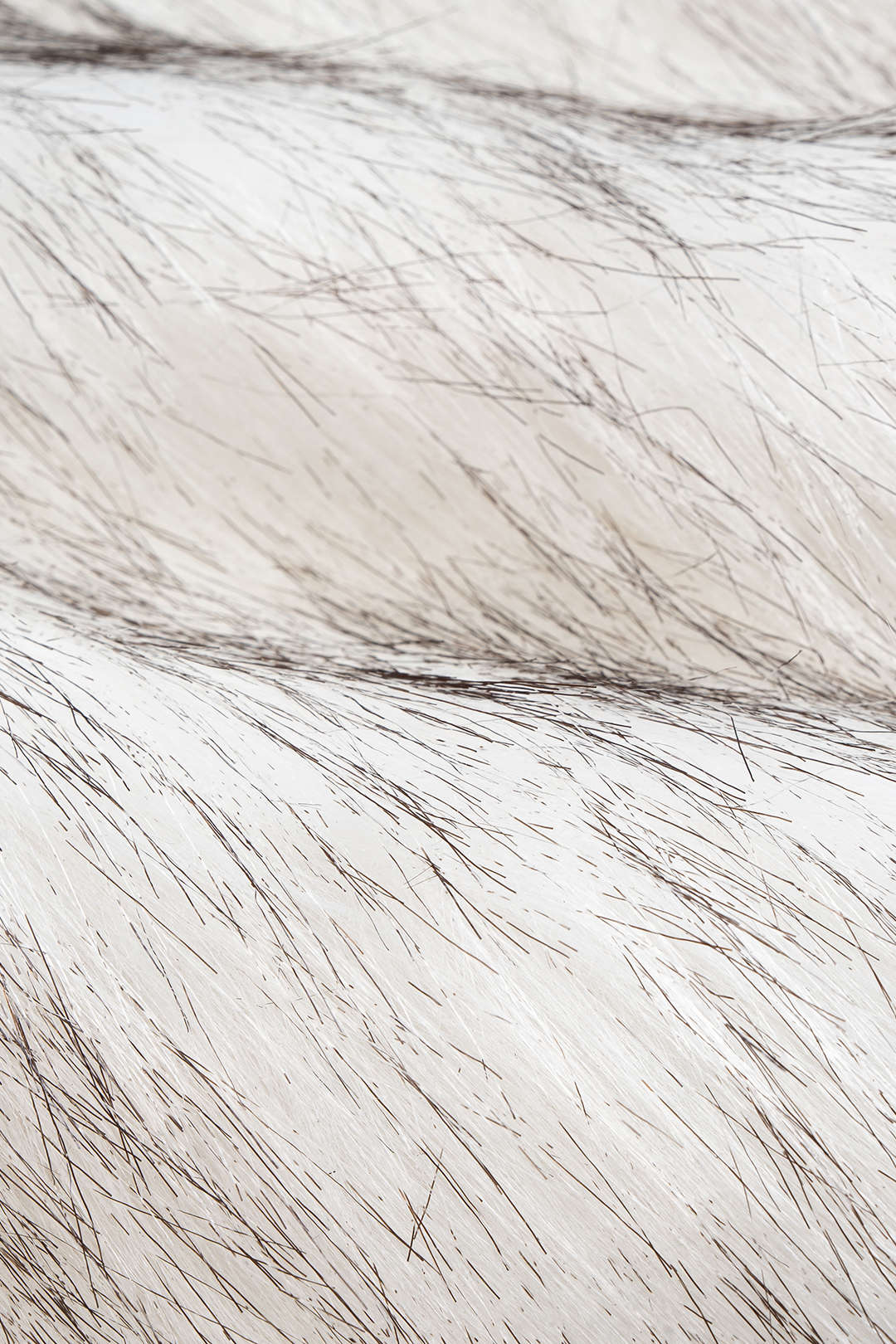 Faux Fur Mock Neck Vest - Image 4