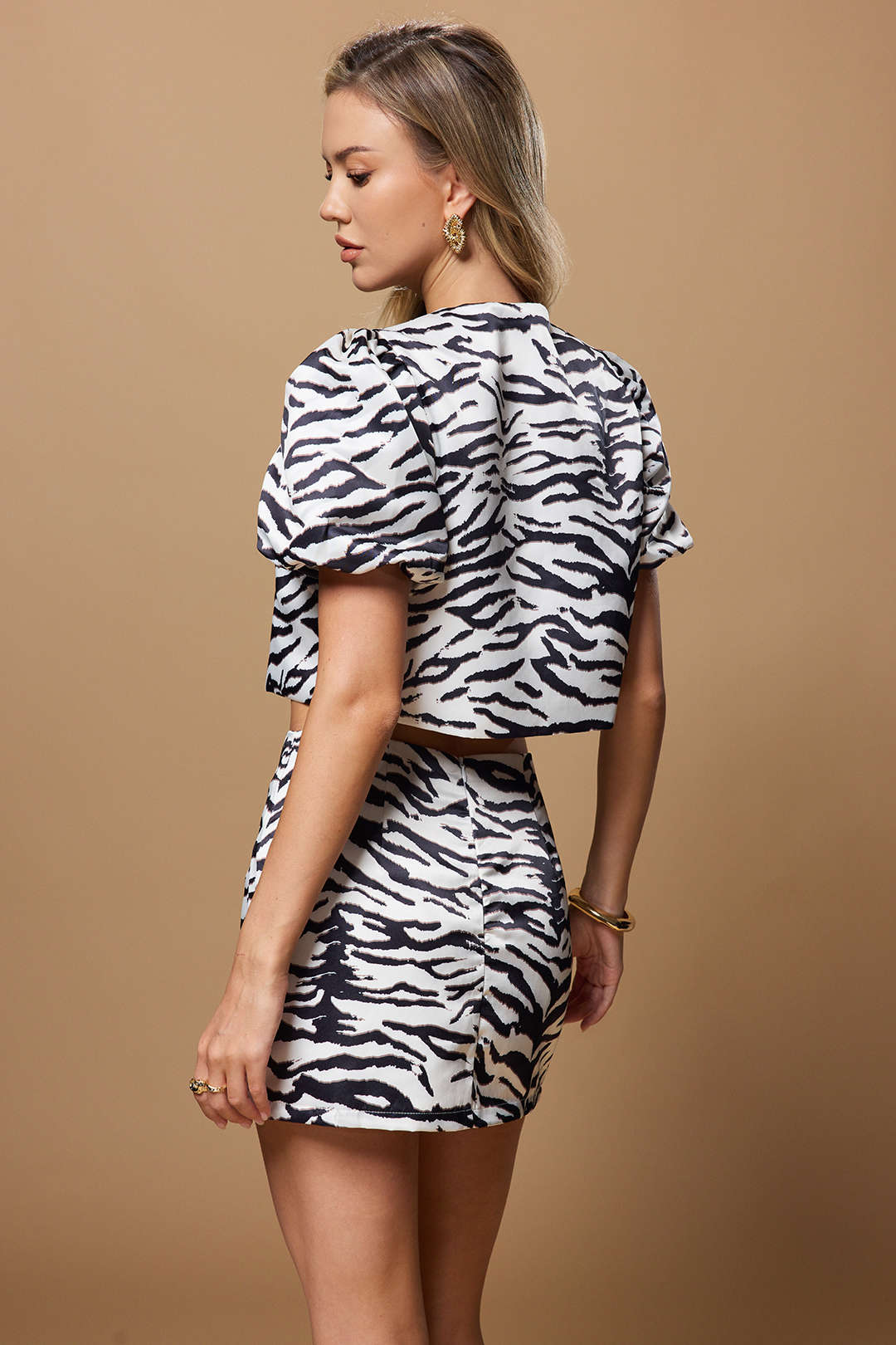 Zebra Stripe Print Zipper Mini Skirt - Image 3