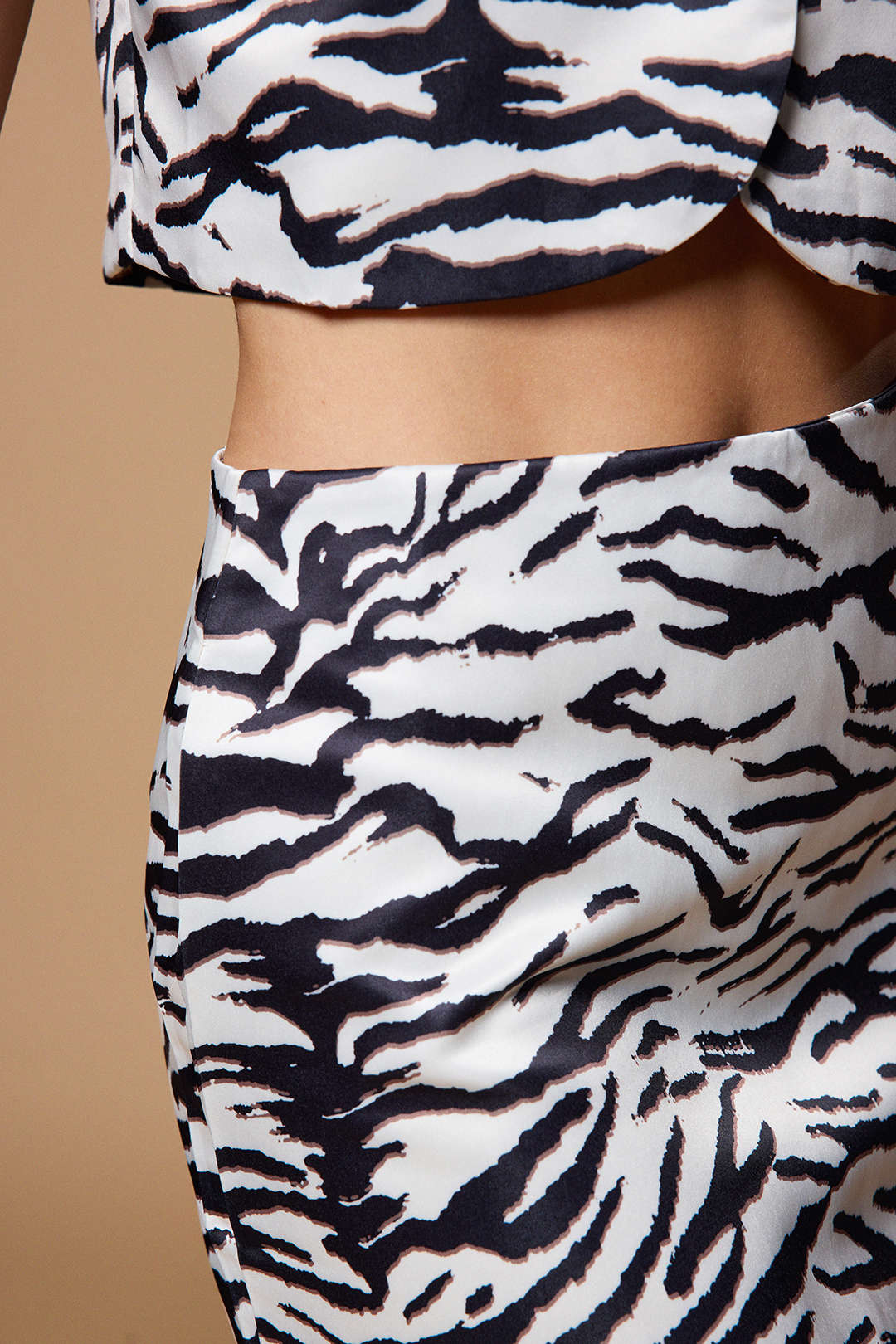 Zebra Stripe Print Zipper Mini Skirt - Image 5