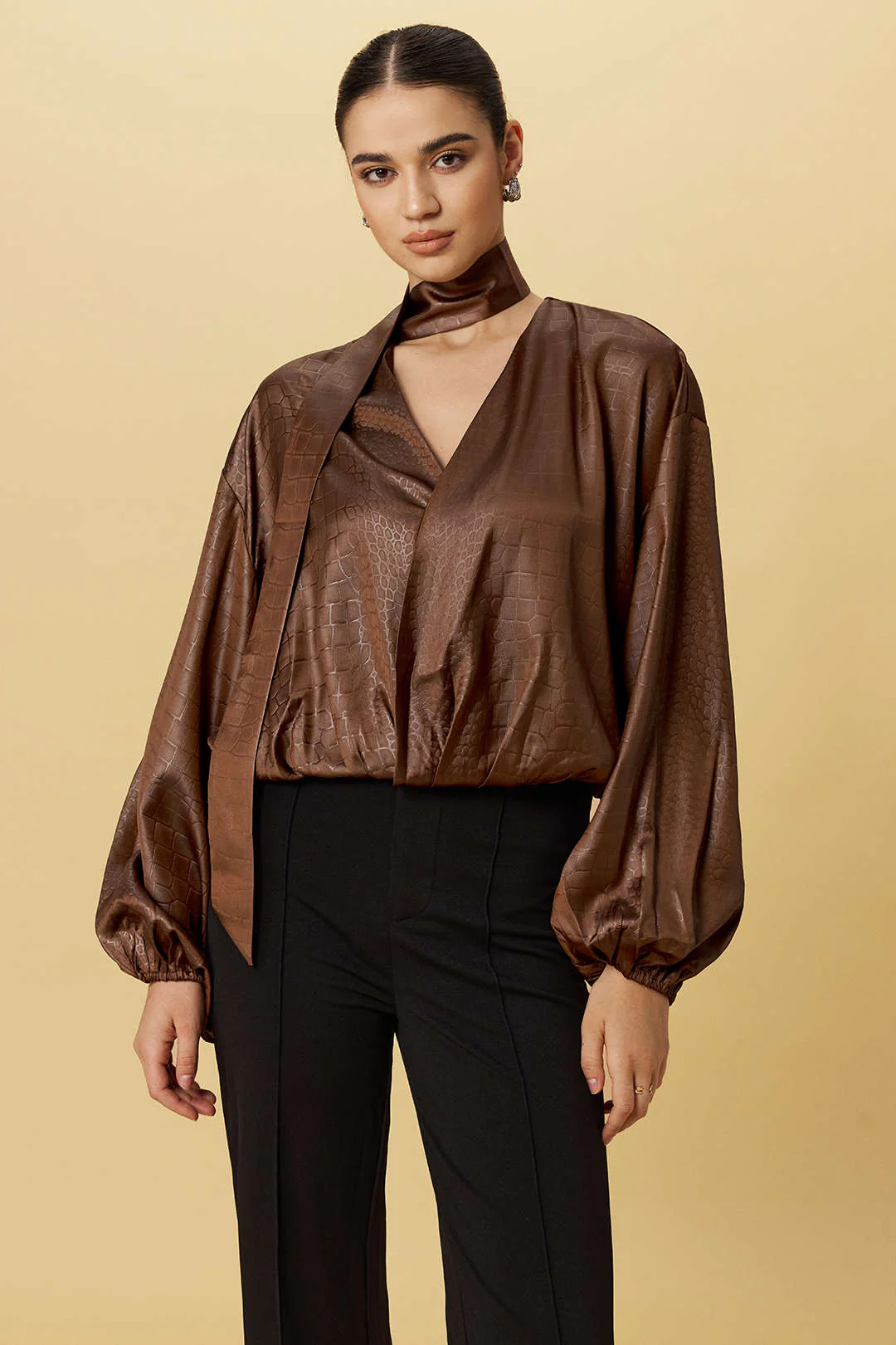 Satin Texture Ruched Long-Sleeve Top With Scarf