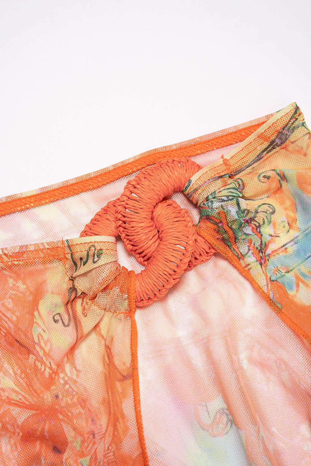 Floral Print Mesh Backless Bikini Set - Image 3